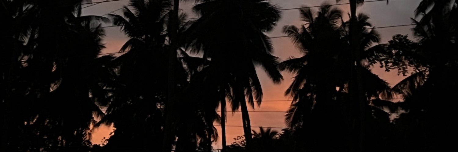 krstneealdeaa's profile banner image