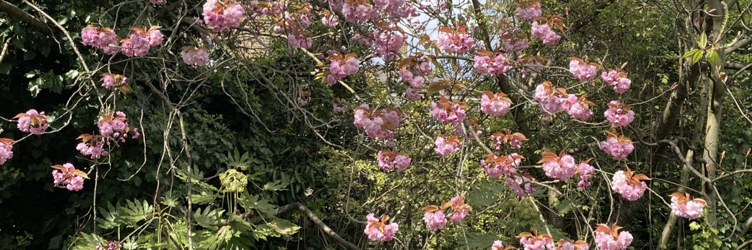 DebbieSorkin2's profile banner image