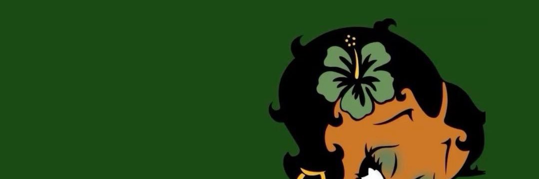 hetastemia's profile banner image