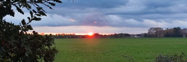 JGorgues Profile Banner