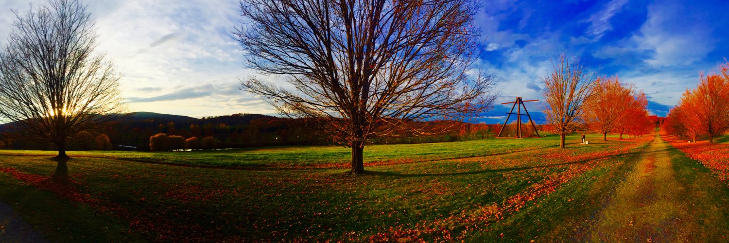 Wiley Cerilli banner