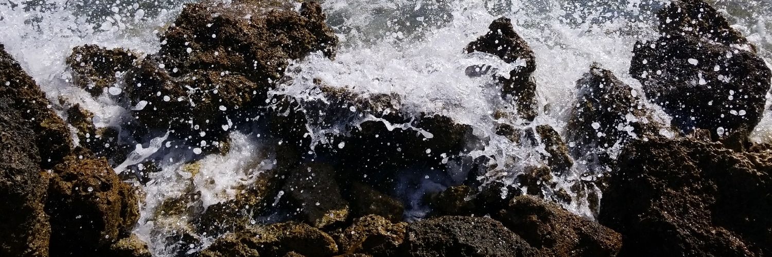 PsychoRaii's profile banner image