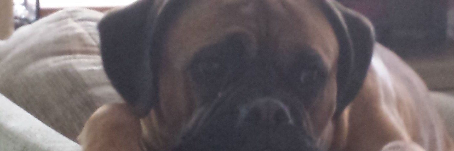 PB_legend72's profile banner image