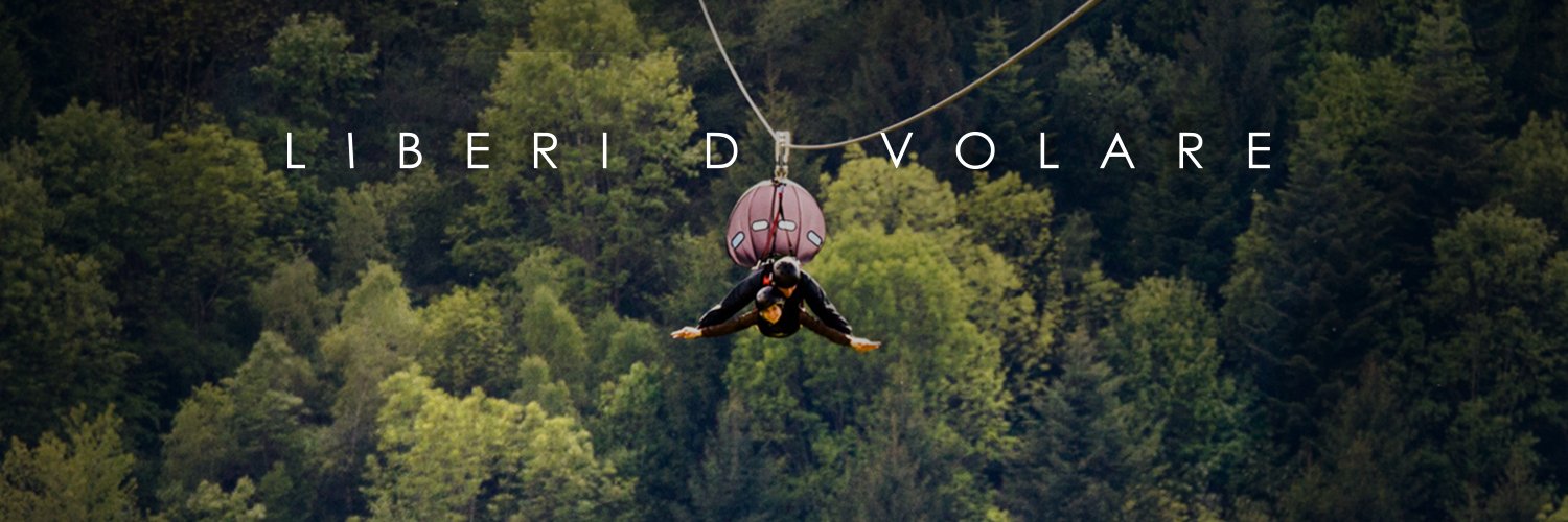 flyemotion's profile banner image