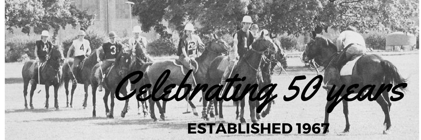 PoloTraining PTF banner