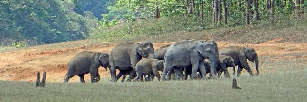 Prakriti India Tour banner