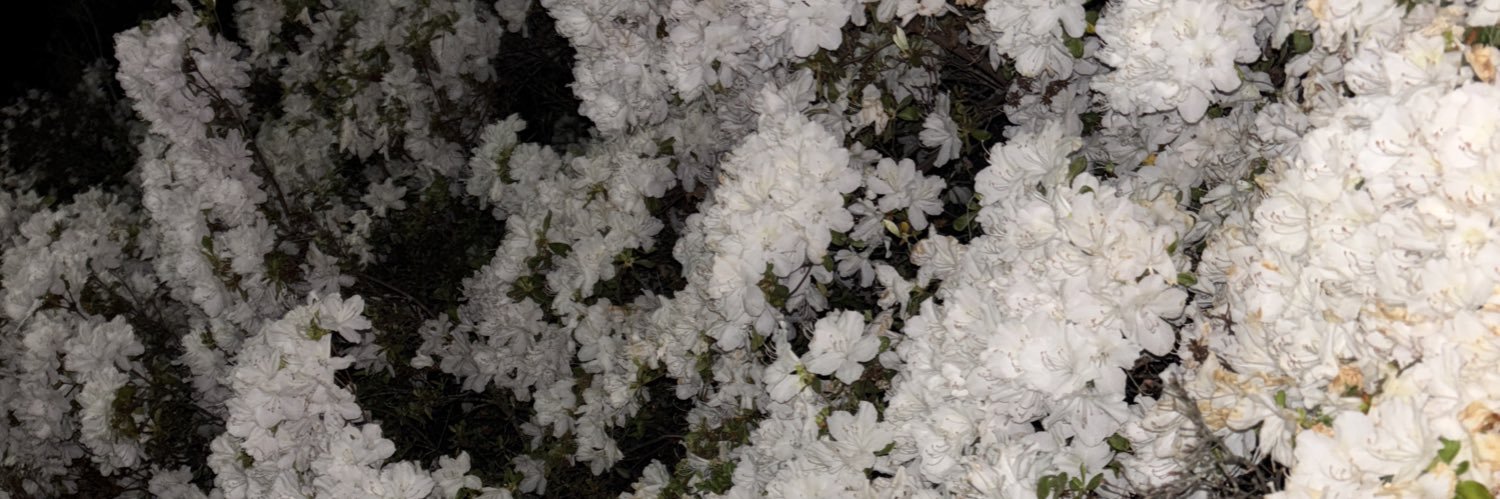Sway banner