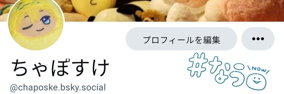 chaposke's profile banner image