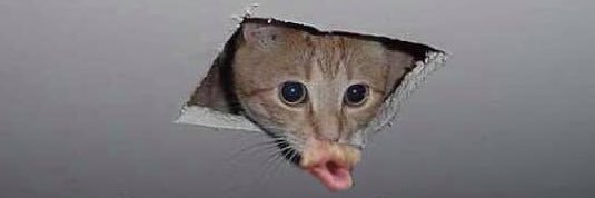 peachmilkshakes's profile banner image