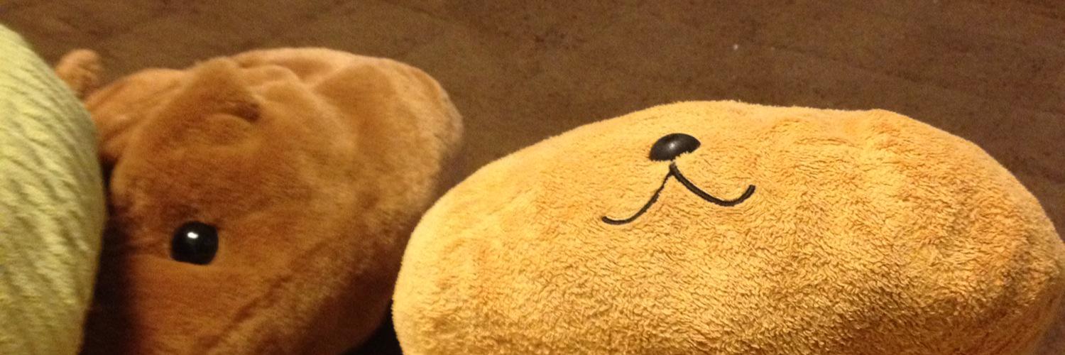 kapichan99's profile banner image