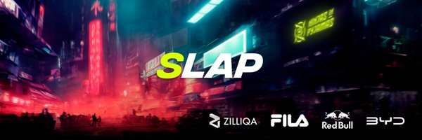 slapCS Profile Banner