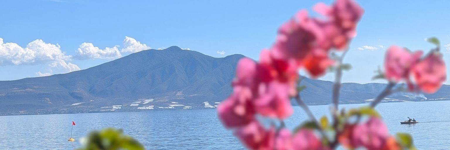 𝕃𝕚𝕤𝕒 𝕃𝕒ℝ𝕦𝕤𝕤𝕠 banner