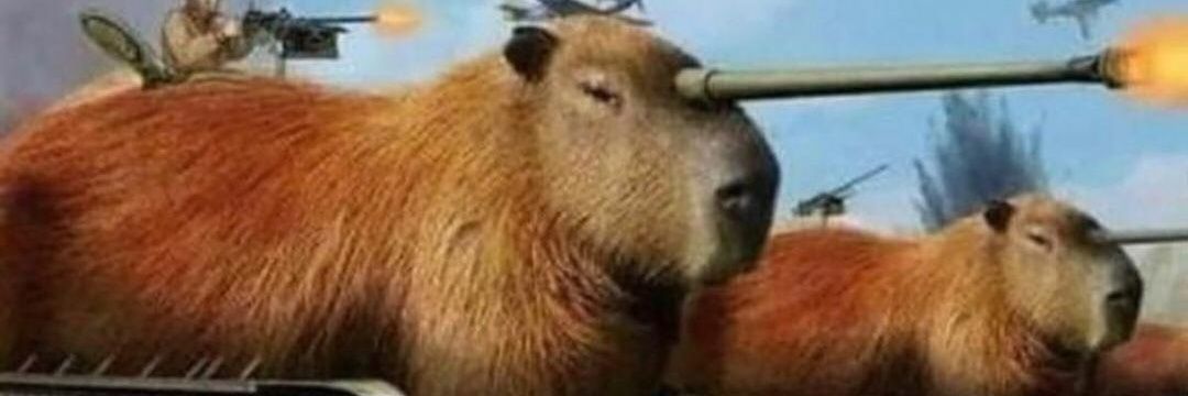 hedgemazeB's profile banner image