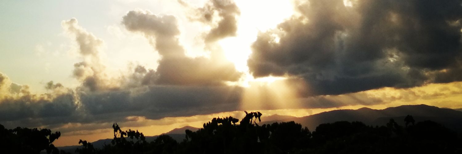 MartaD1972's profile banner image