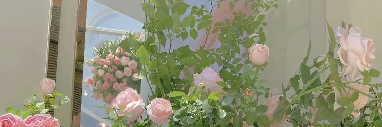 sara6084's profile banner image