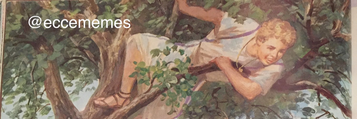 EcceMemes's profile banner image