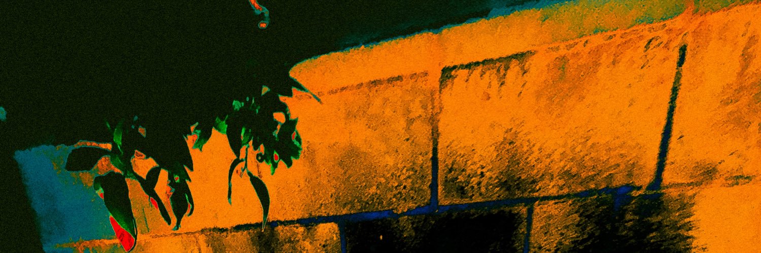 Mxchard's profile banner image