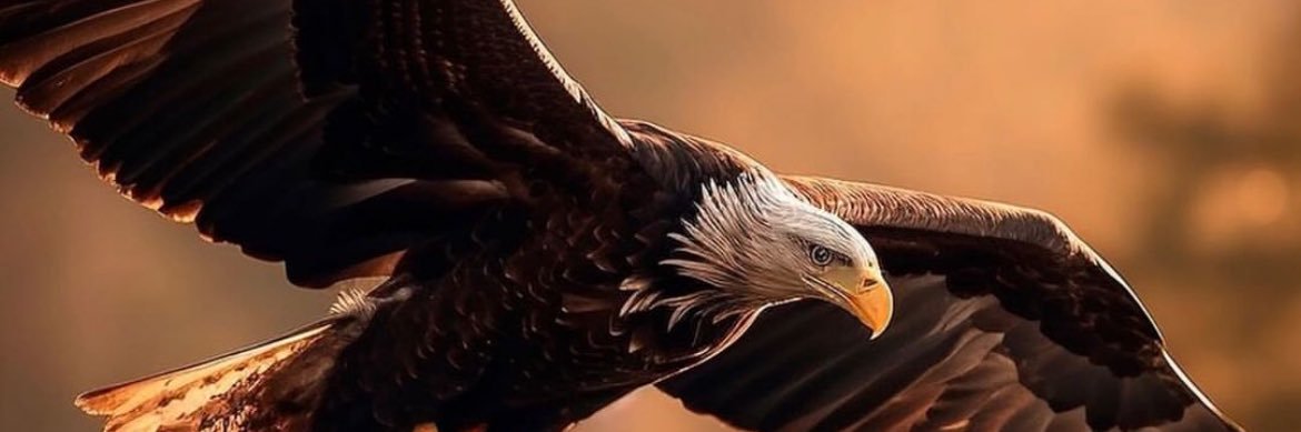 Lctrem_'s profile banner image