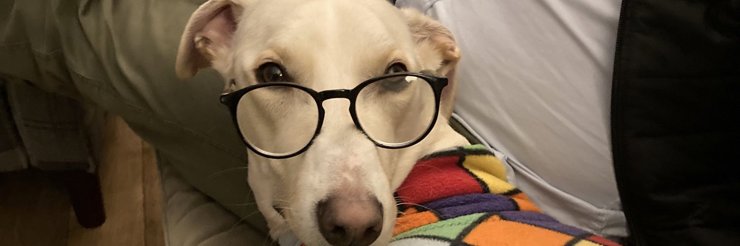 Elaine Thornton-Nicol banner