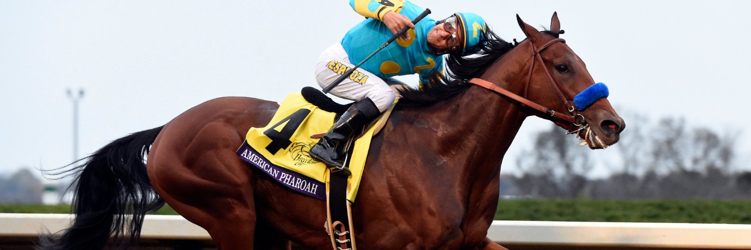 Bobby 🐎 banner