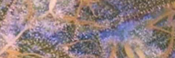 soulbro3's profile banner image
