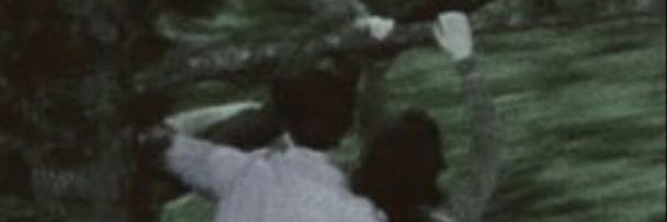 AriLara5's profile banner image