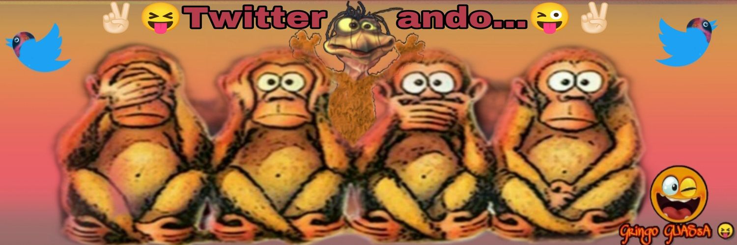 GringoRafa's profile banner image