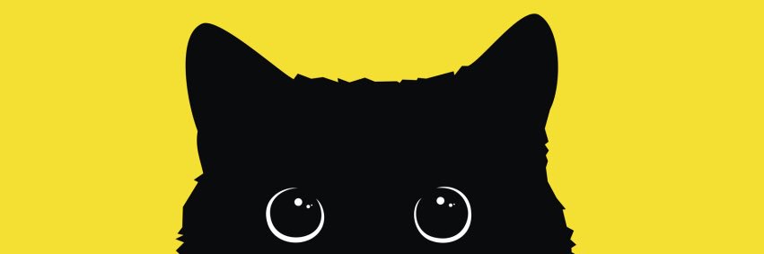 fitrova's profile banner image