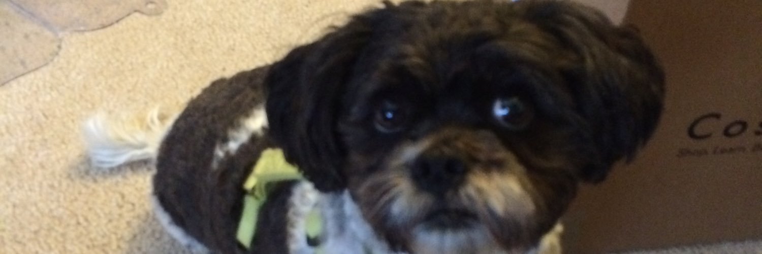 lexibrit's profile banner image