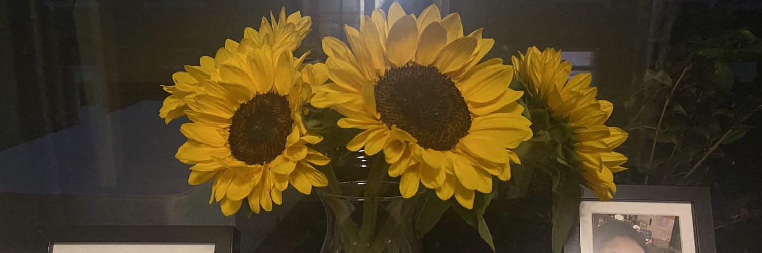 donnalsilver's profile banner image