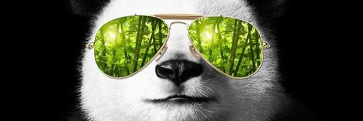 aashrafh's profile banner image
