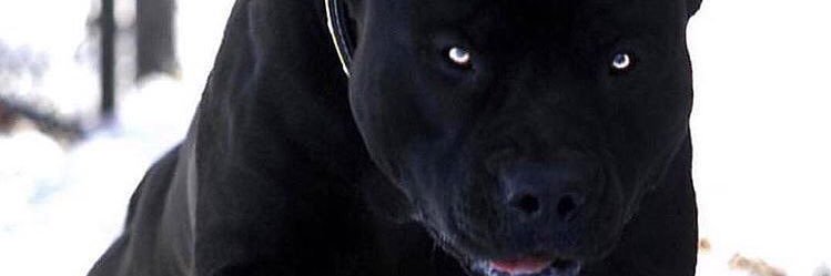blue2k16's profile banner image