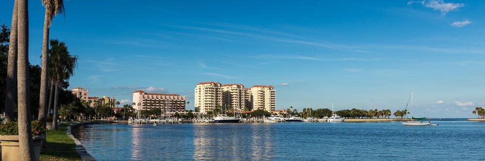 Ann Marie Cash banner