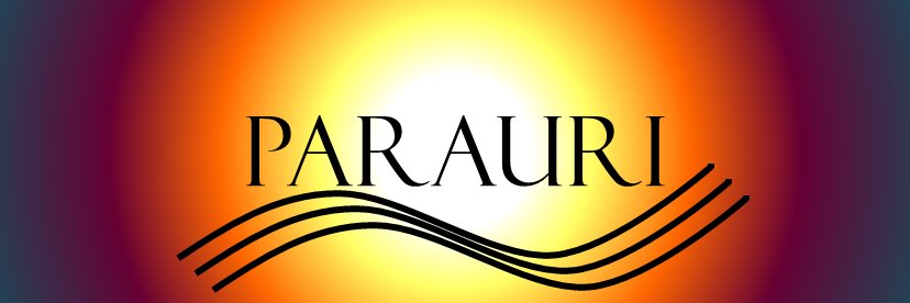 parauri_comunic's profile banner image