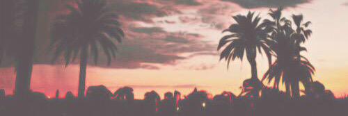 lmfaowhitesides's profile banner image