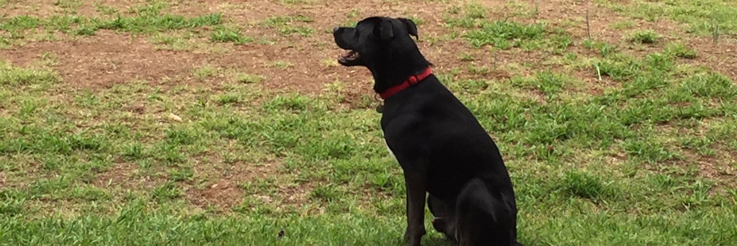 mitch_byrum's profile banner image
