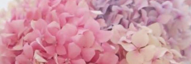 BabyMisaka's profile banner image