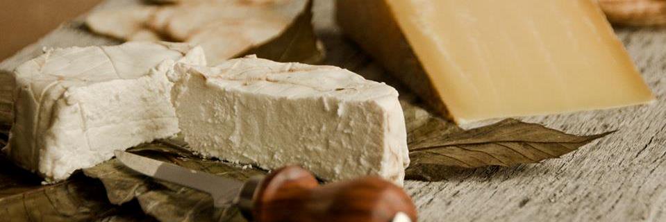 Provisions124 banner