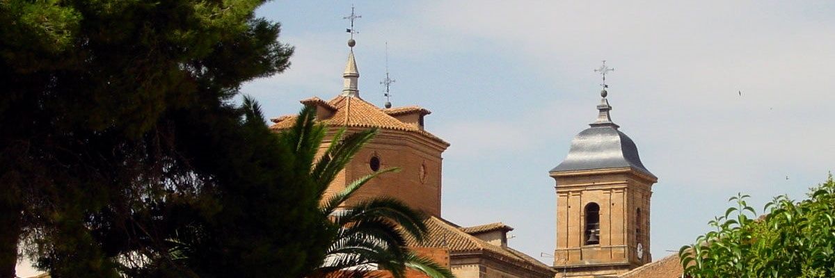 anferantonio's profile banner image