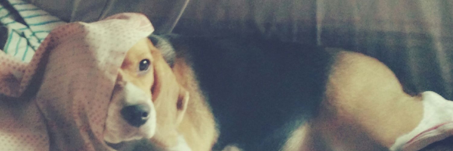 JoanMathew's profile banner image