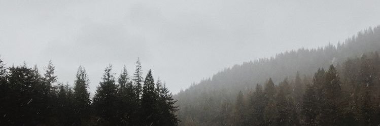 rattygrlz's profile banner image
