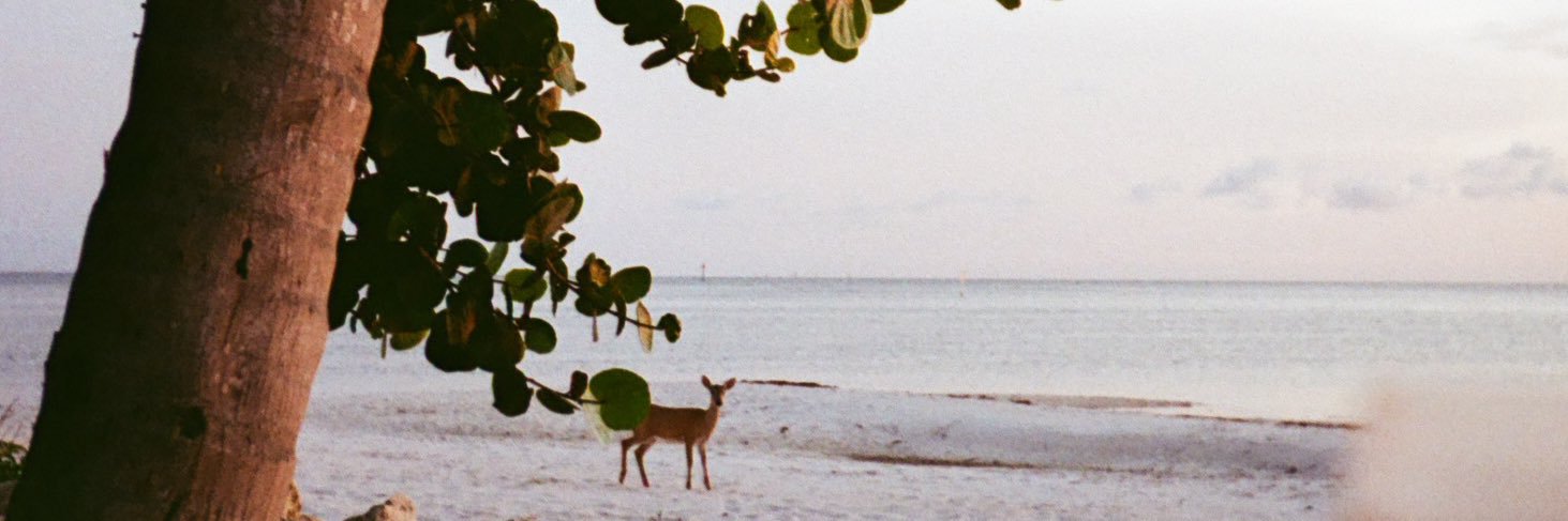 anmb30's profile banner image
