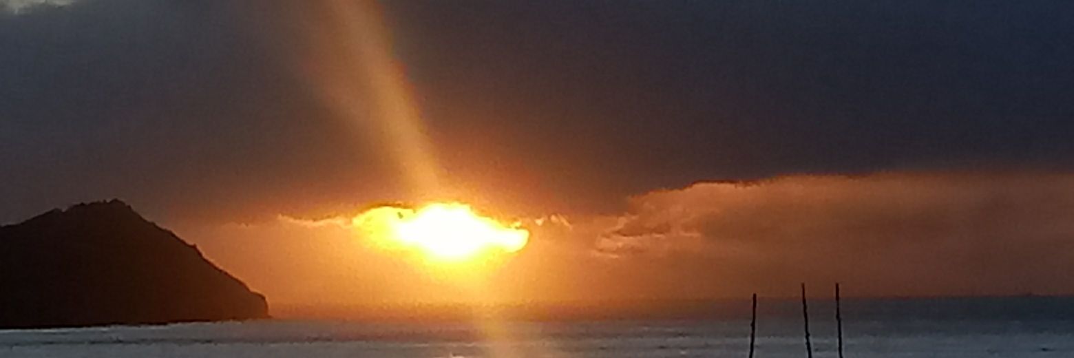 evalunarayen's profile banner image