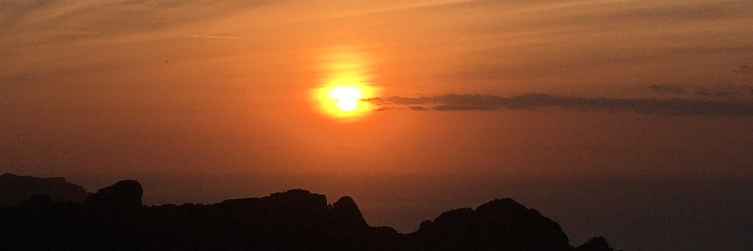 paulaortegaml's profile banner image