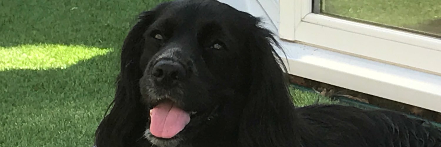 FeeHenderson72's profile banner image
