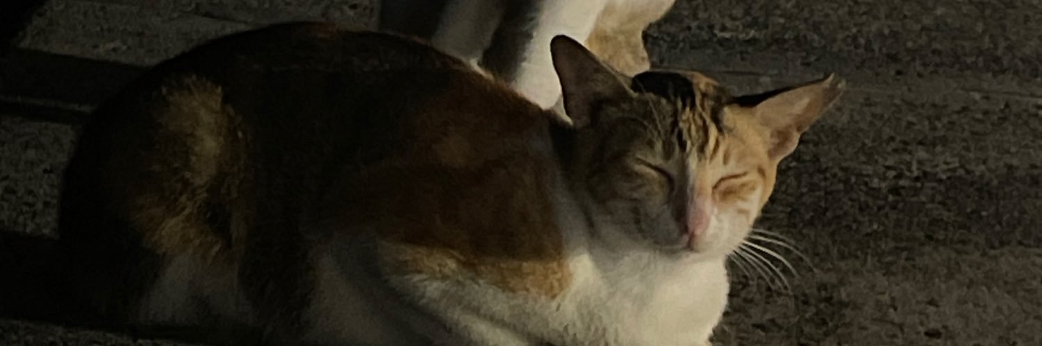namesyowhan's profile banner image