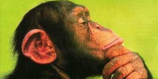 chambert_bert's profile banner image