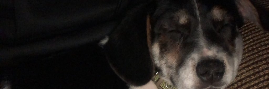FrankCameron18's profile banner image