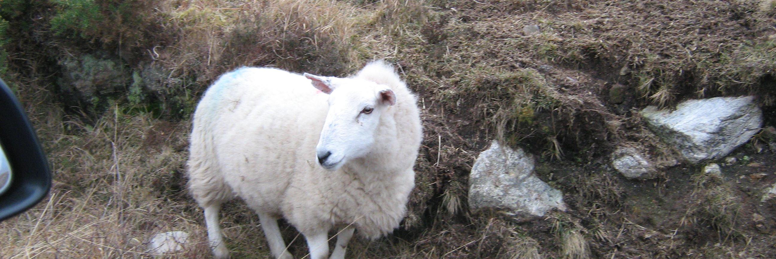 john_bathgate's profile banner image