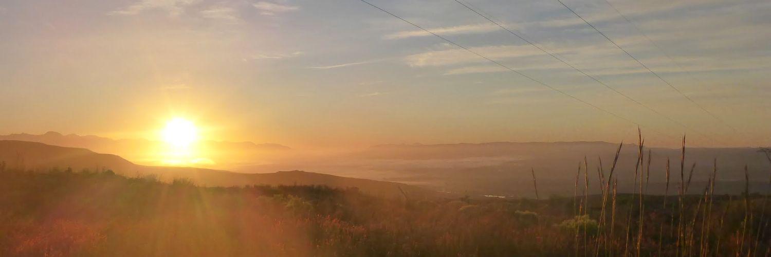 Liehann Loots banner